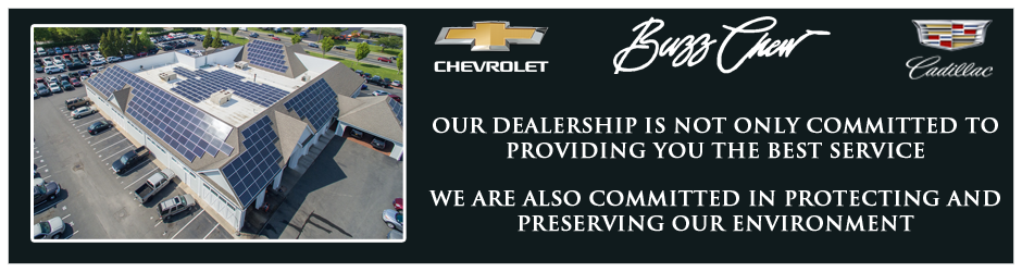 Buzz Chew Committment